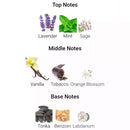 Club De Nuit Lionheart Armaf Man 100 ml EDP genuíno